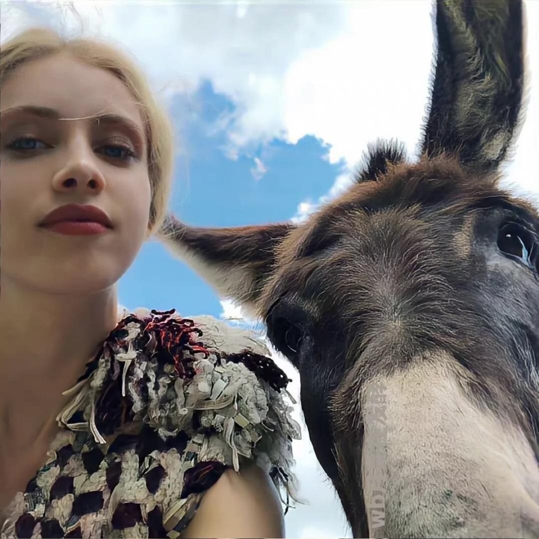 小野马🌻（减脂版）