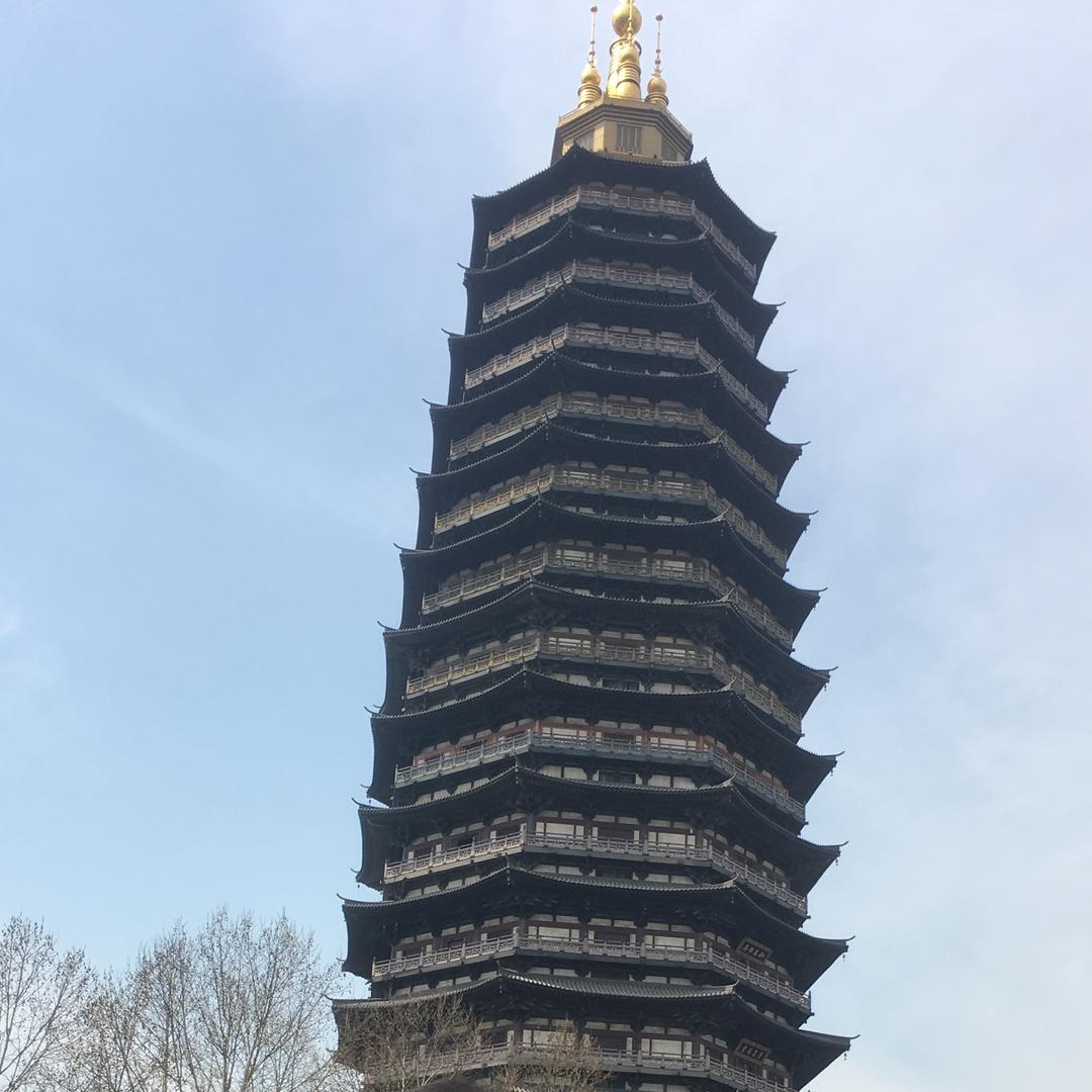 风不疯
