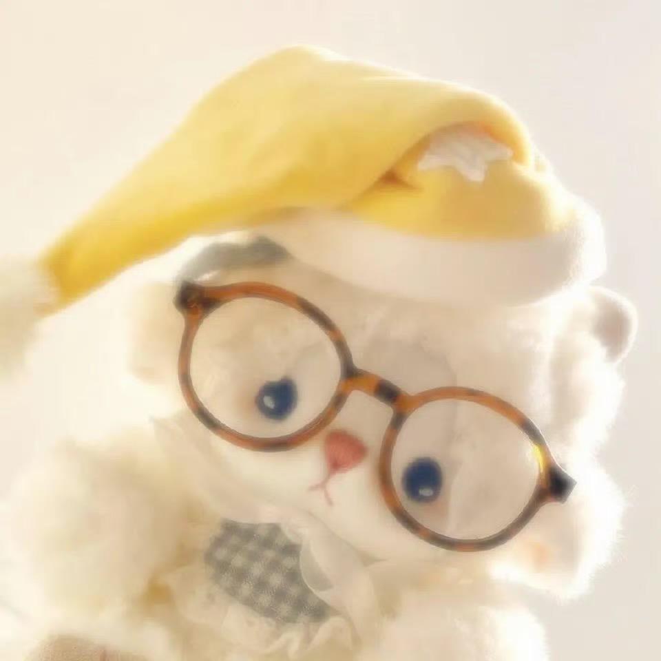旺旺小金猪