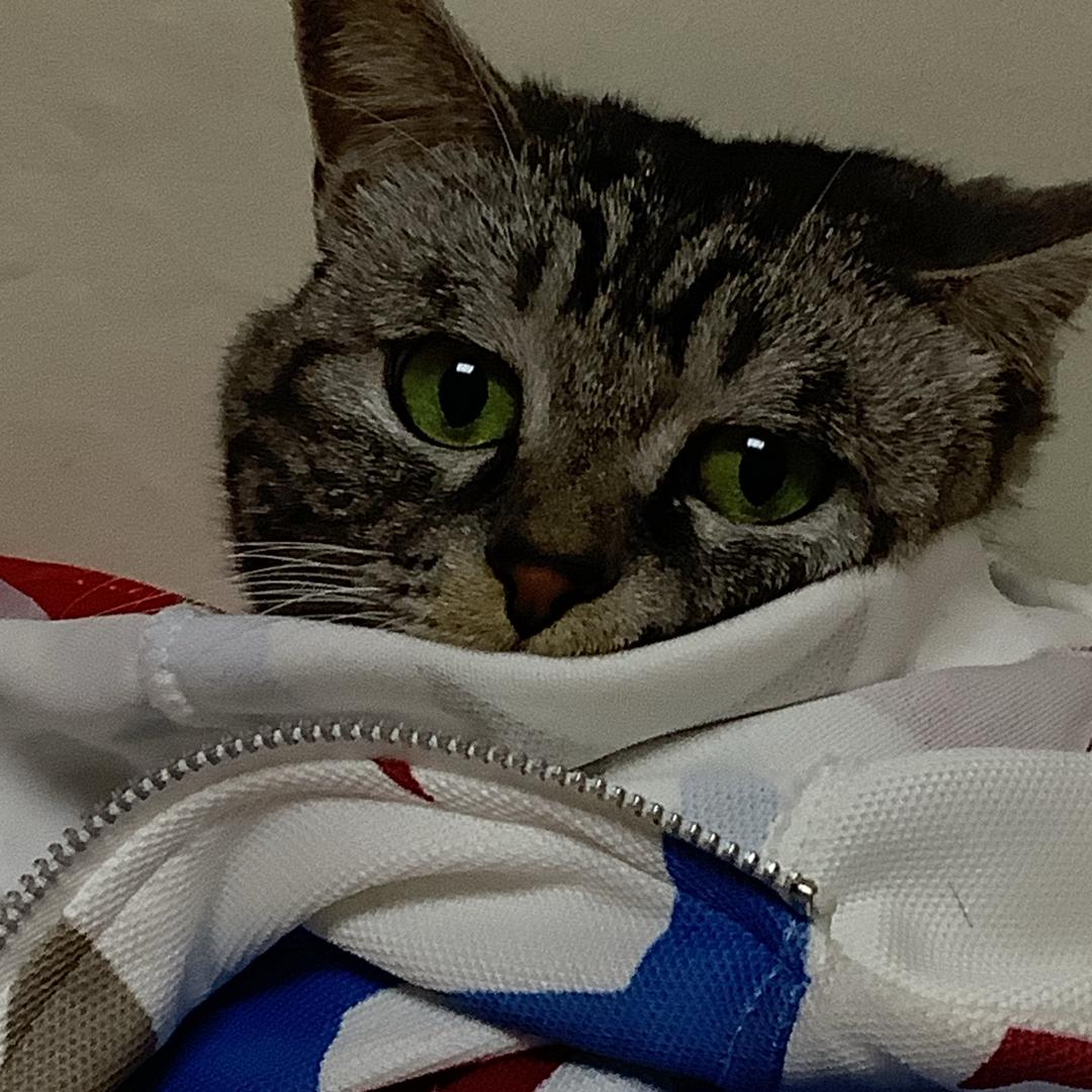 鱼年