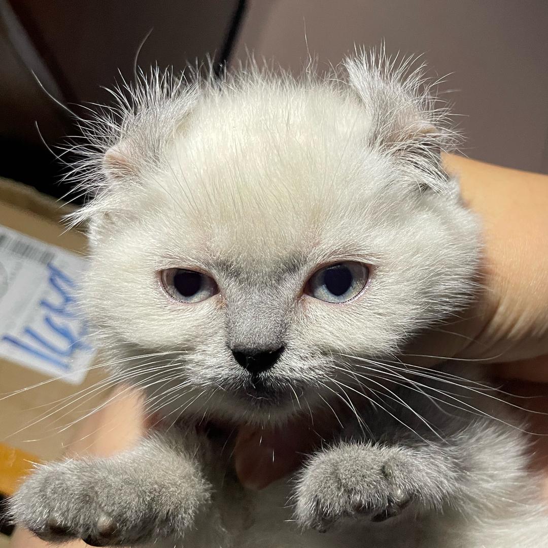 三三两两