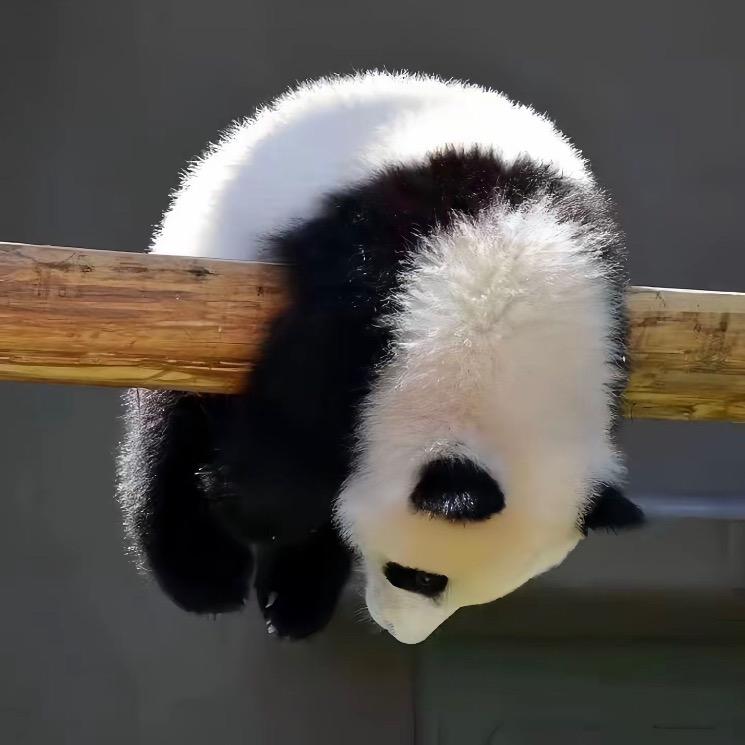 挺好的
