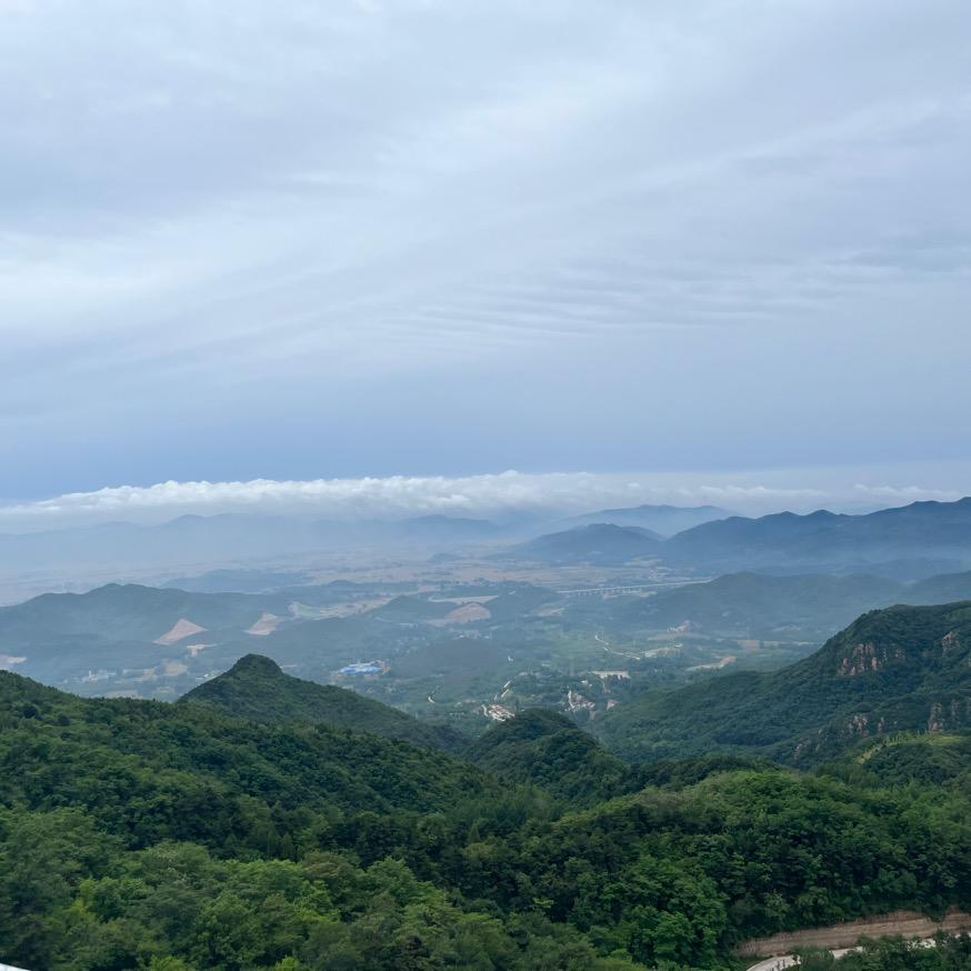 没法