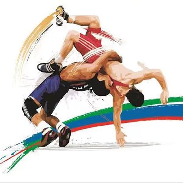 摔跤运动员德强