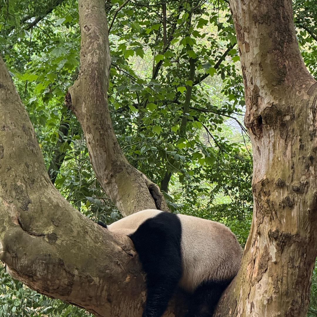 7️⃣7️⃣7️⃣