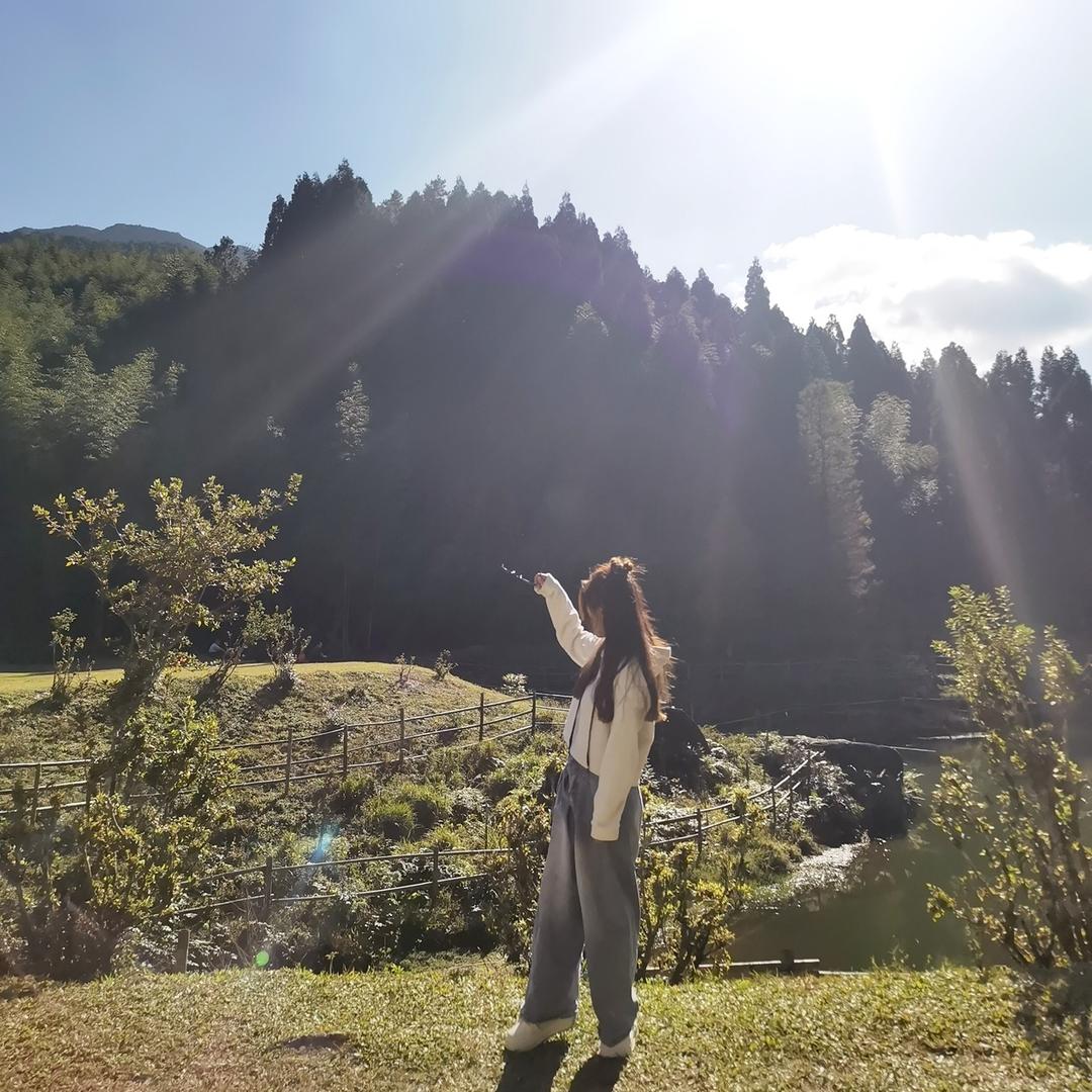 花儿朵朵.