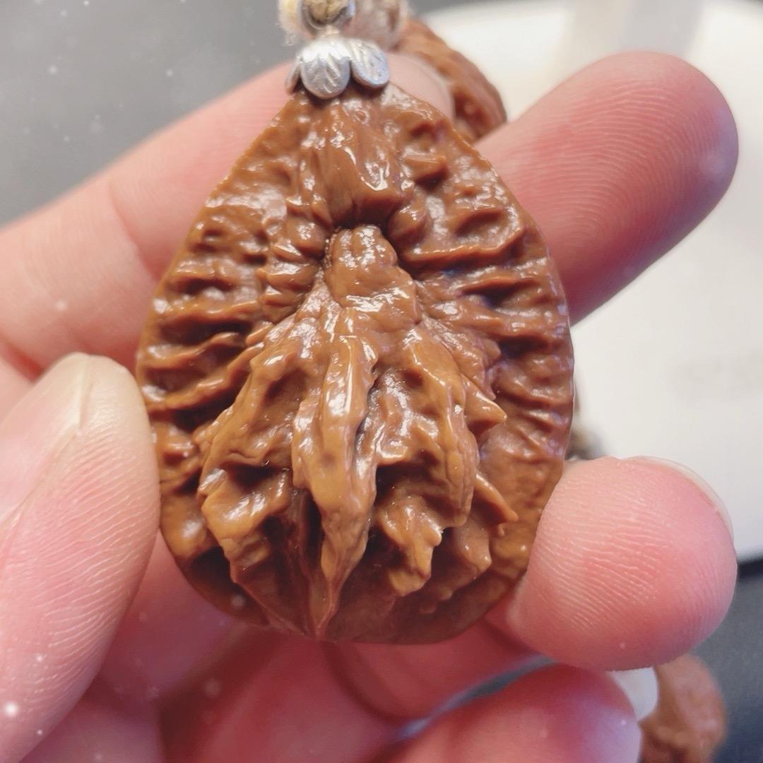 东北-秋山核(野生核桃)