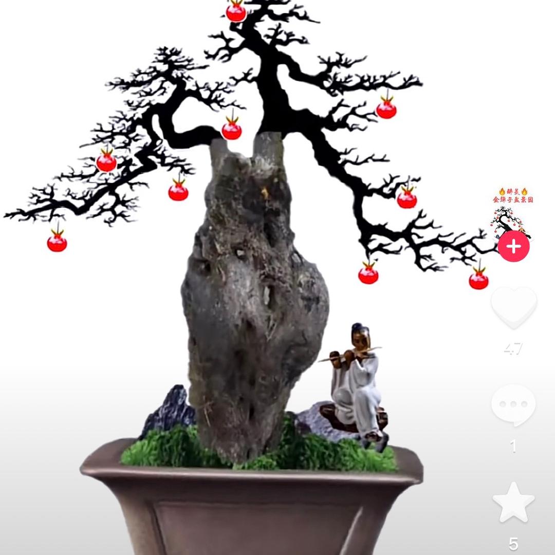 随心所欲