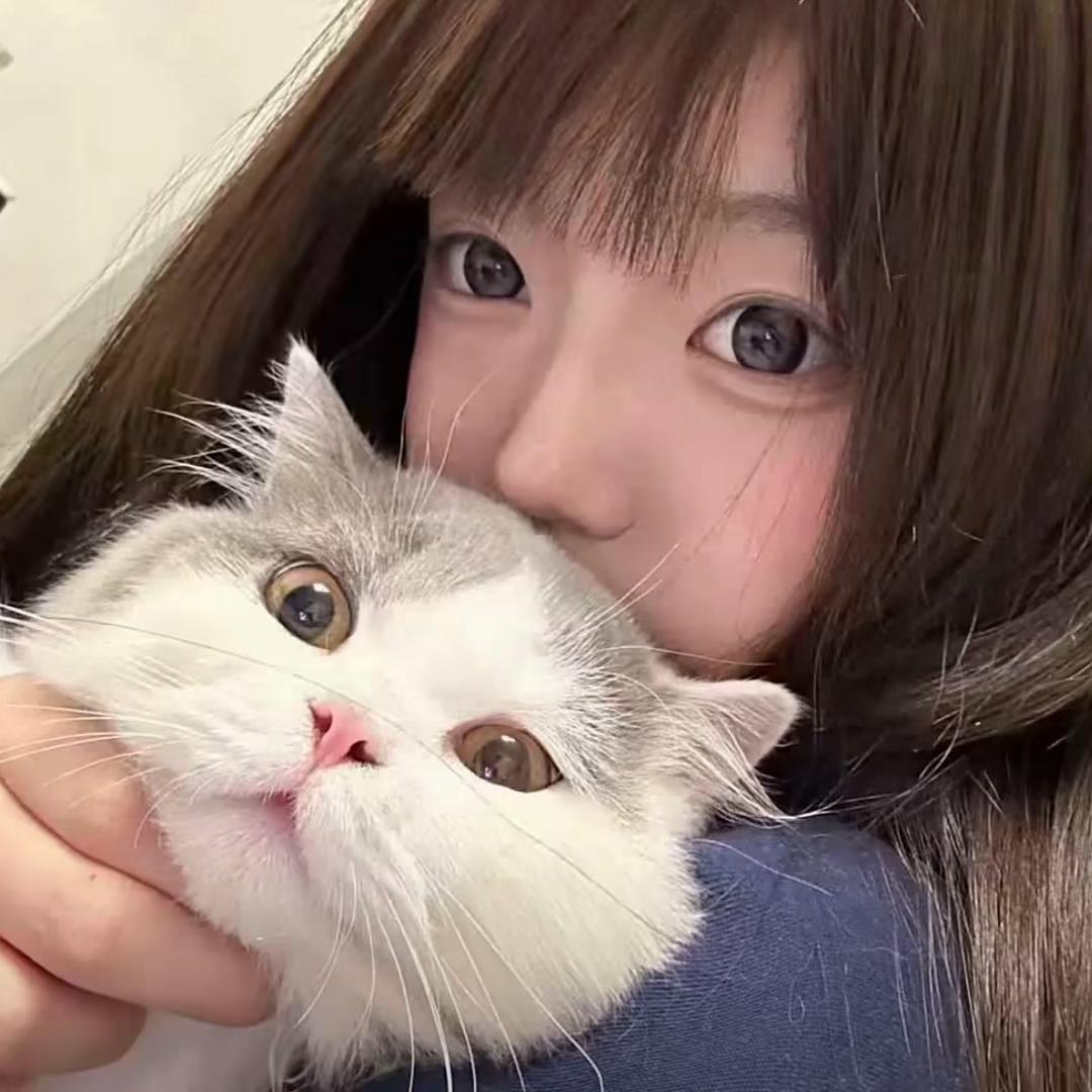 刘海别飞