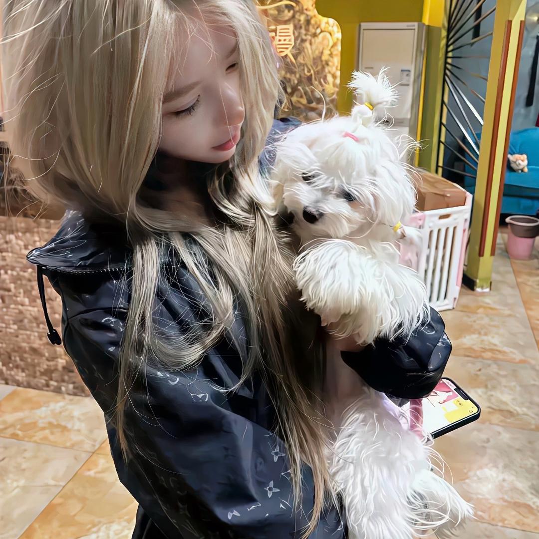 深夜是谁的电话响