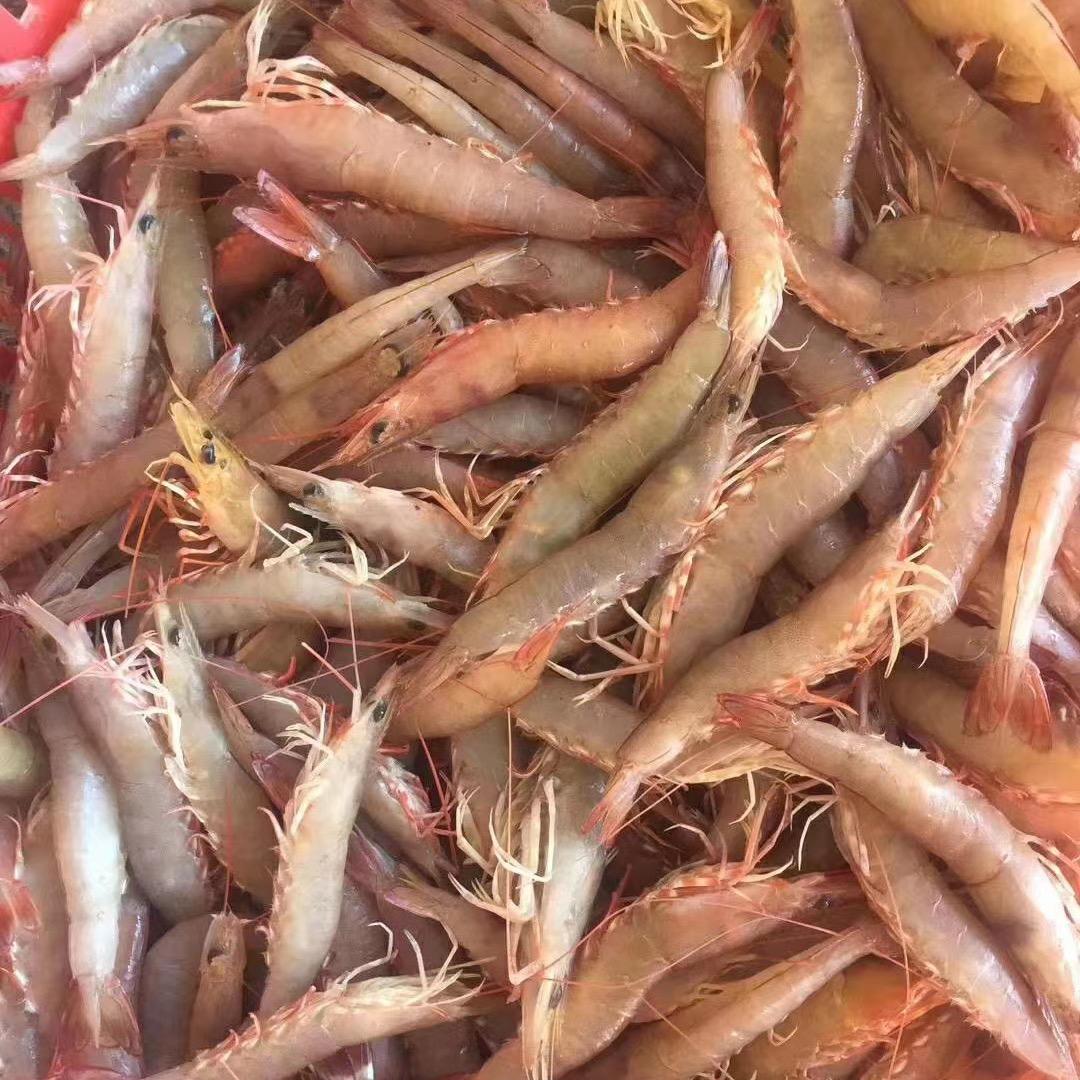 虾想