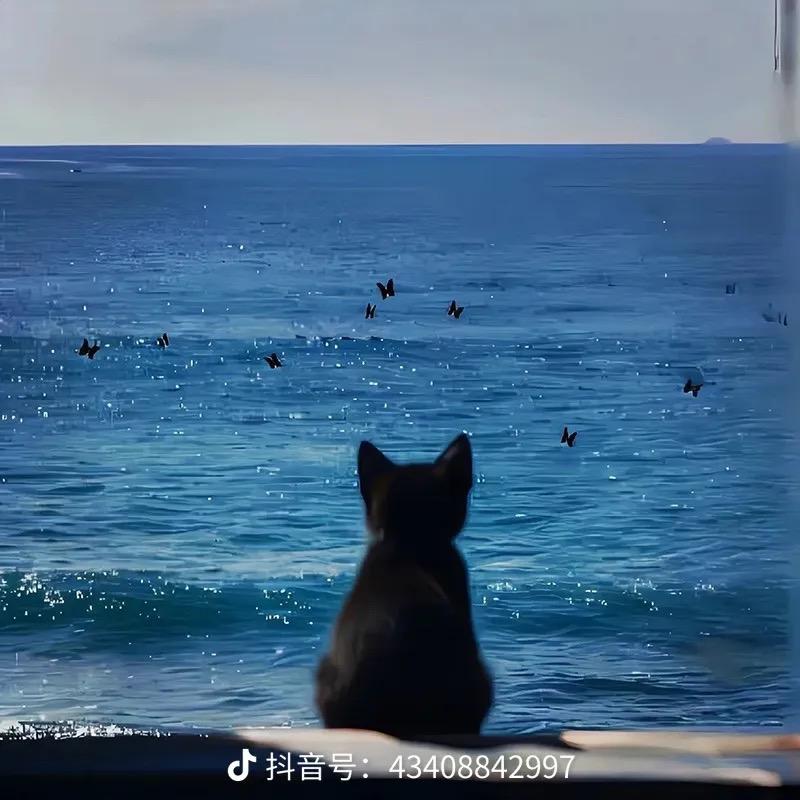 道青
