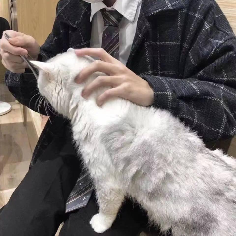 @沪上租房🏠