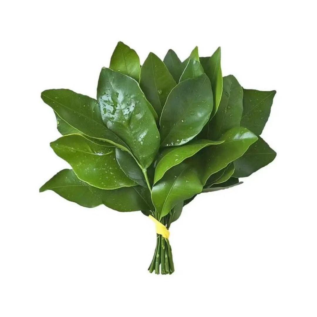 不要吃掉土豆泥