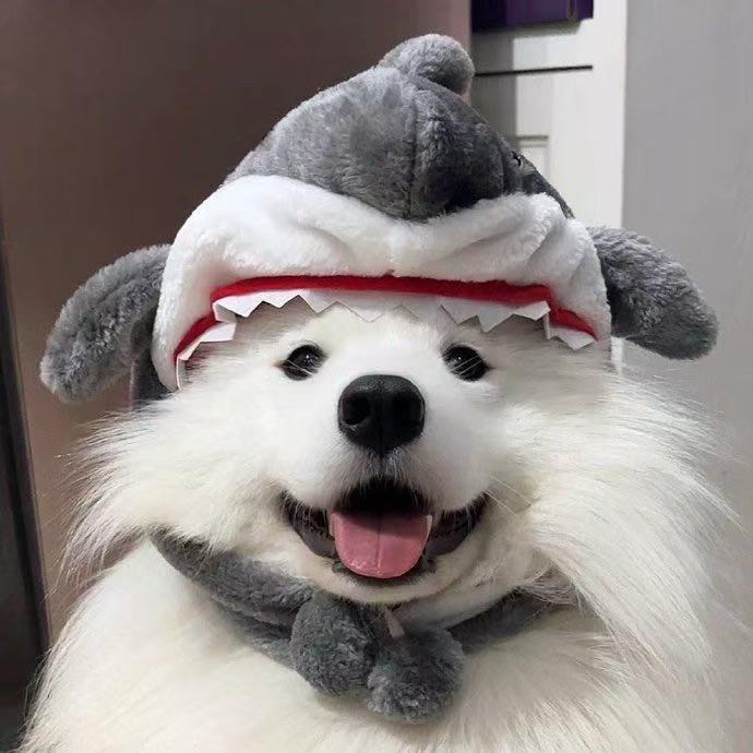 我要睡个好觉