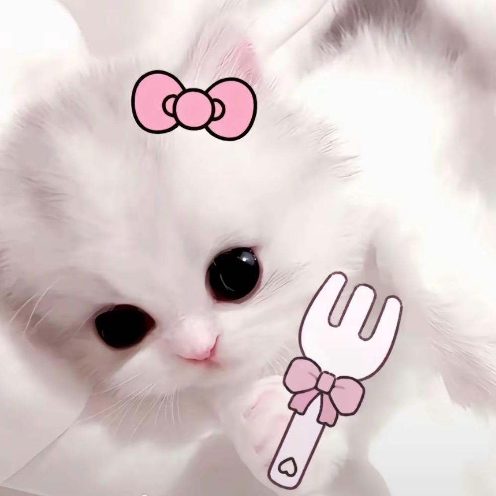 婉婷🐾