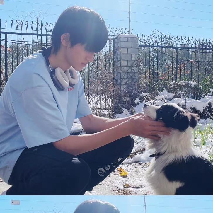 大壁虎与鱼🐟