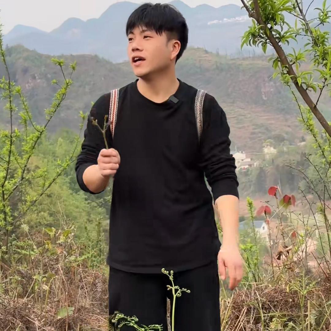 小凯的日常生活