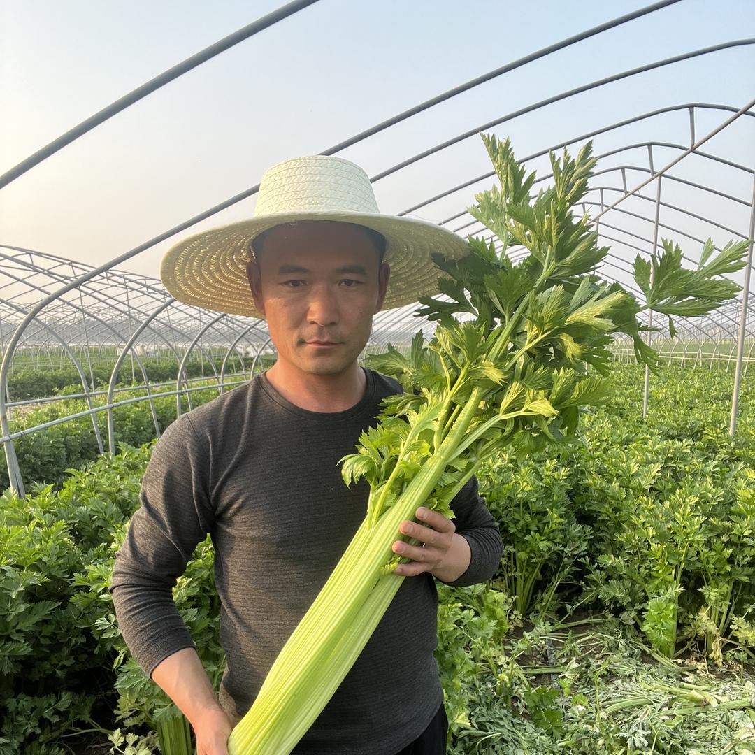 胡鲜生健康菜