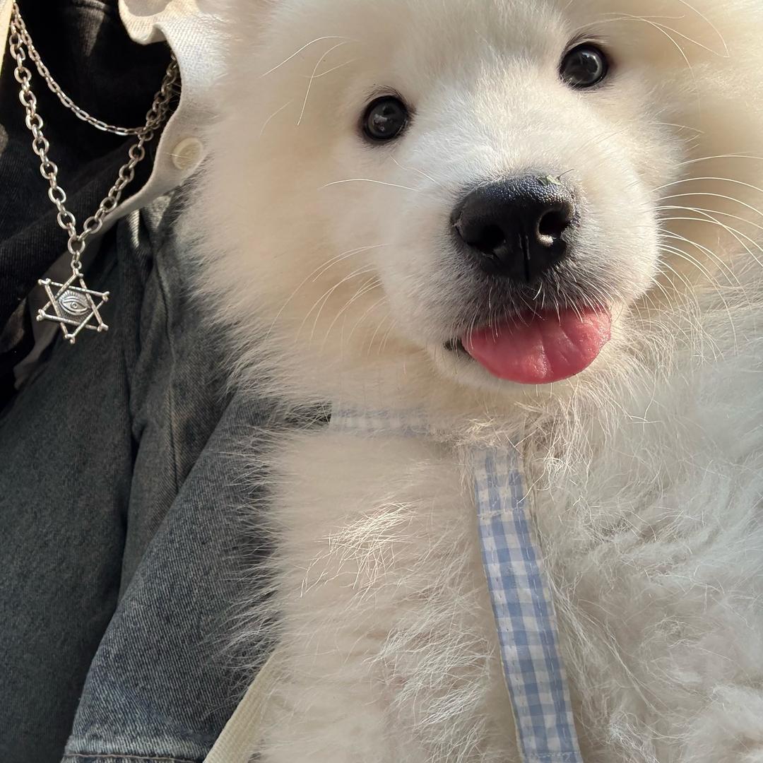 不要相信女人.