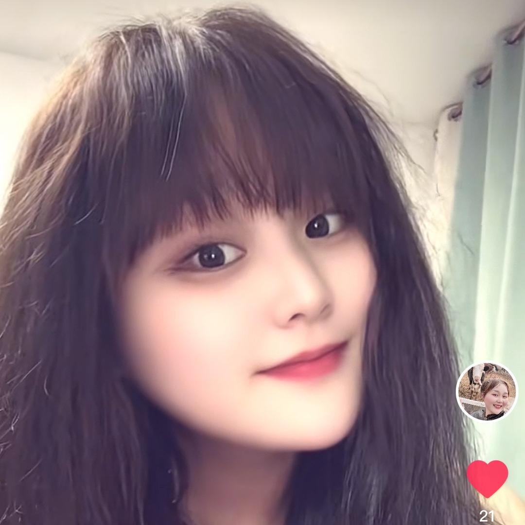 鲍鲍