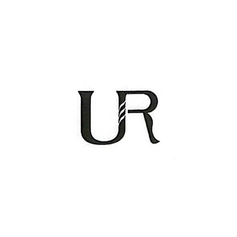 UR箱包