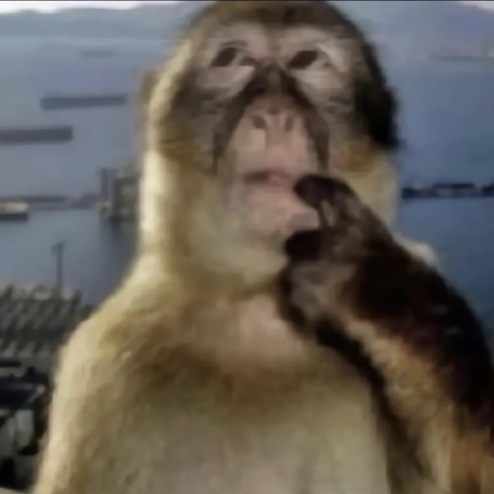 被人民谩骂同时惨遭多名领导布置任务的少男