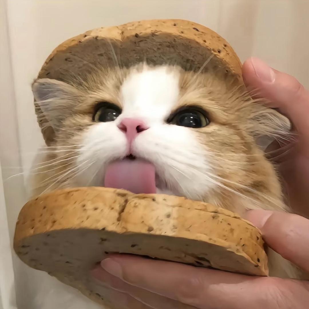 一小小只