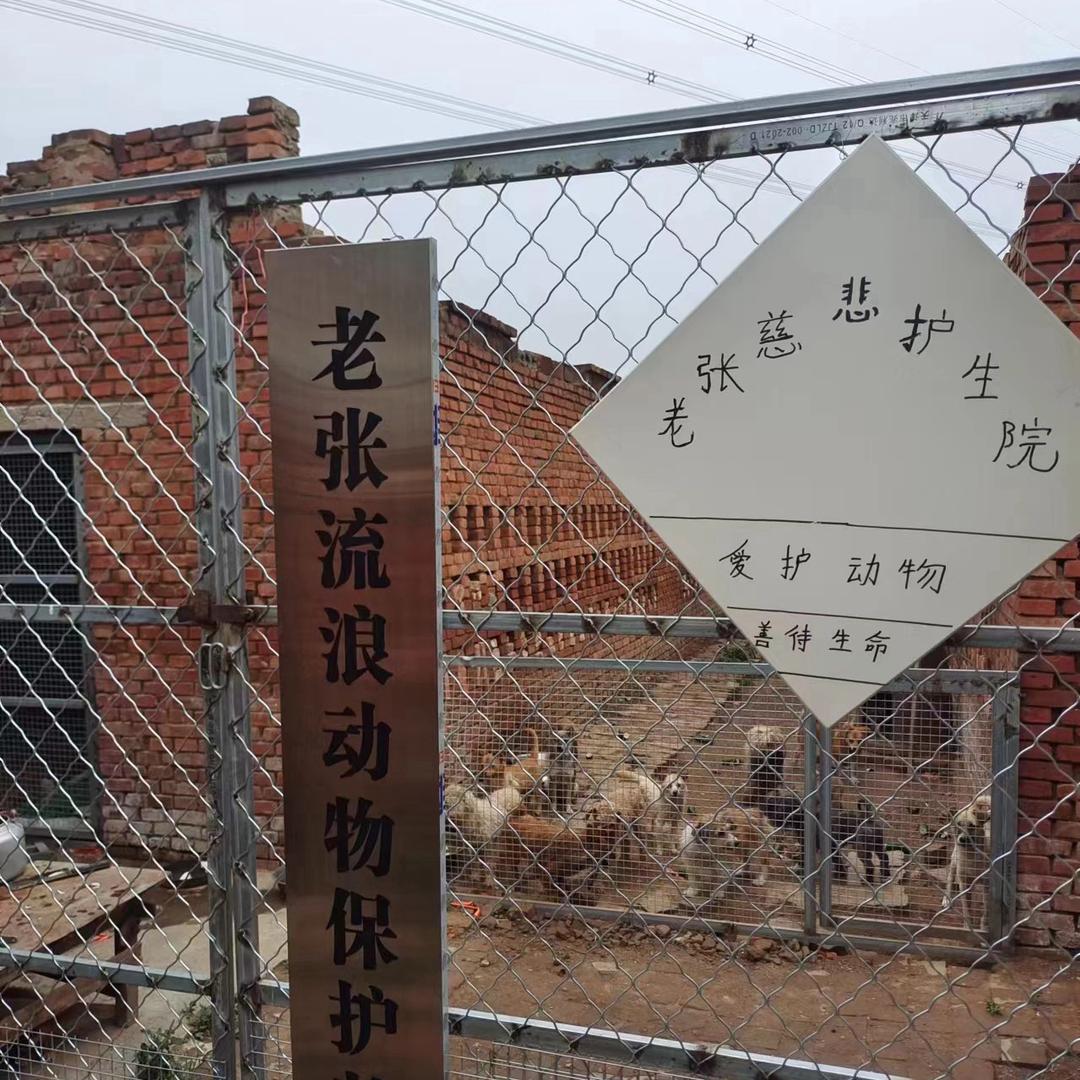 毛孩子温柔的小窝