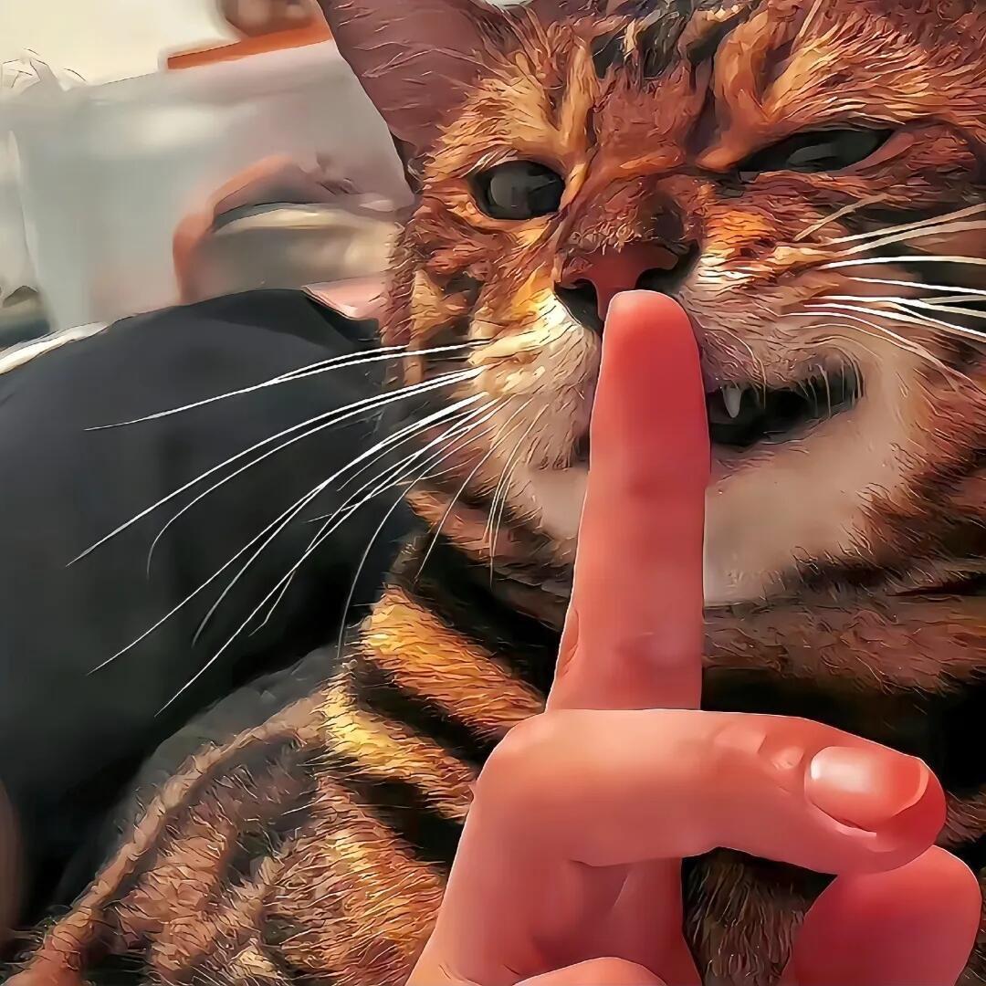 🍖
