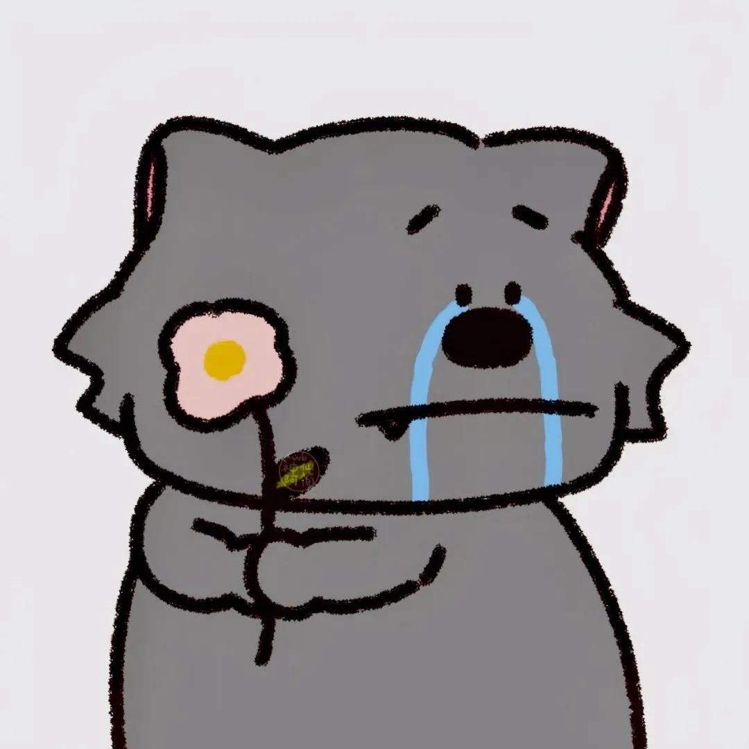 小周笨笨的.✨