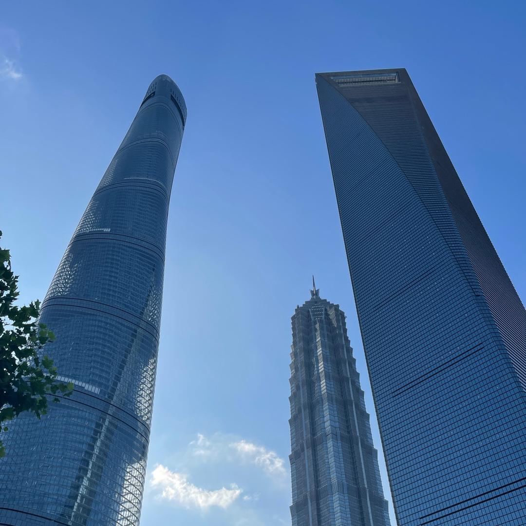 上海龙龙