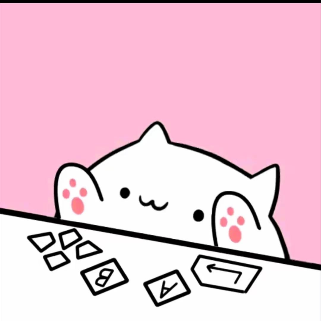 阿皮