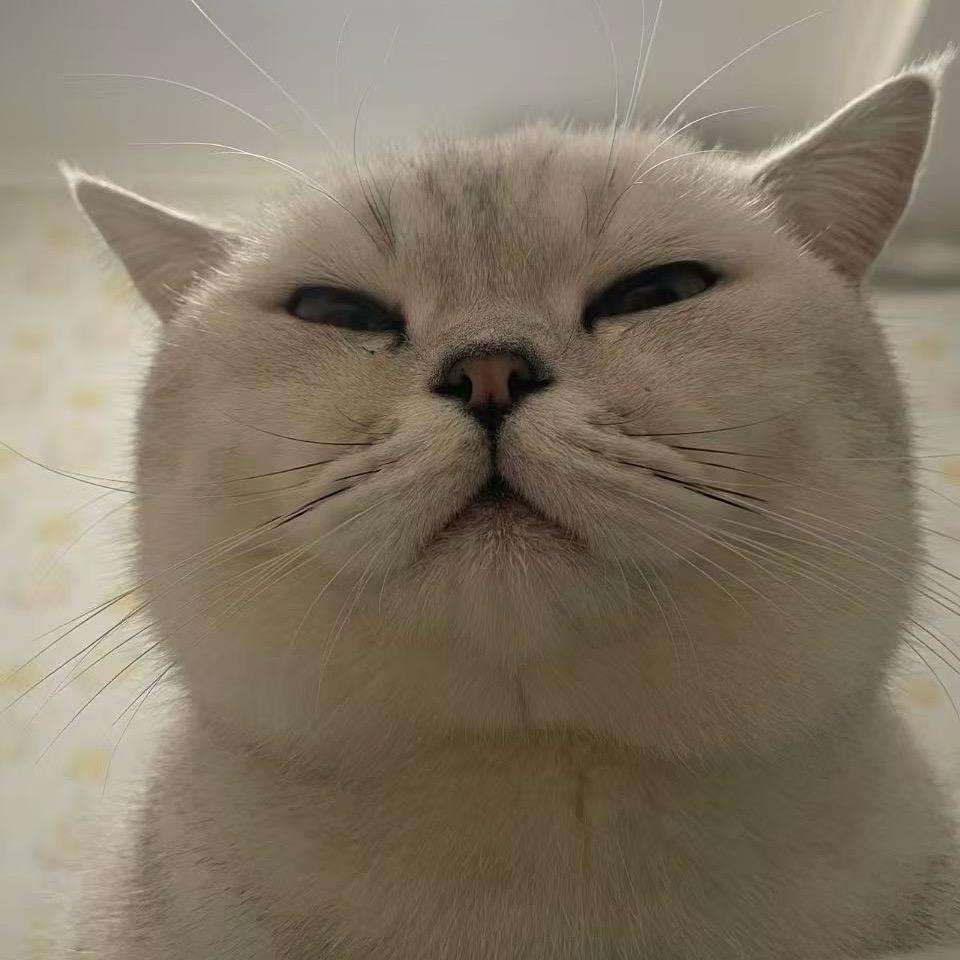 偶然