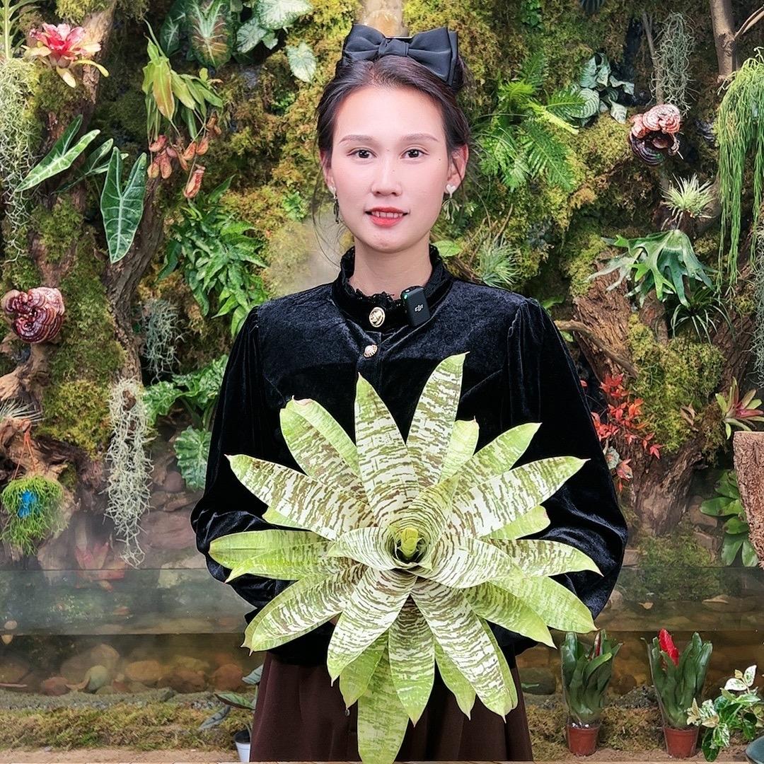 花一森林
