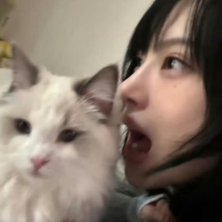脸黑没礼貌