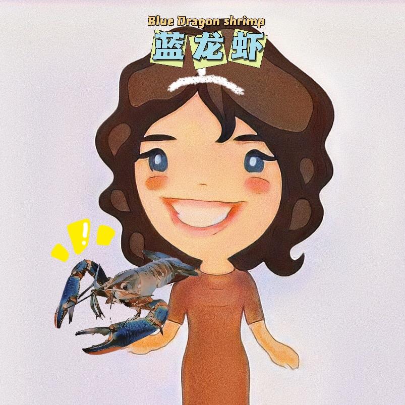 华姐卖蓝龙🦞(澳洲淡水蓝龙虾)