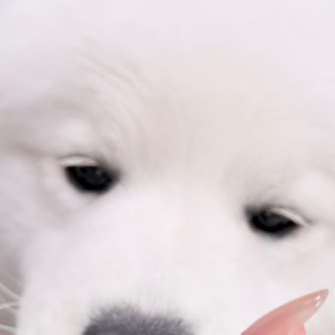 婊子离我远点