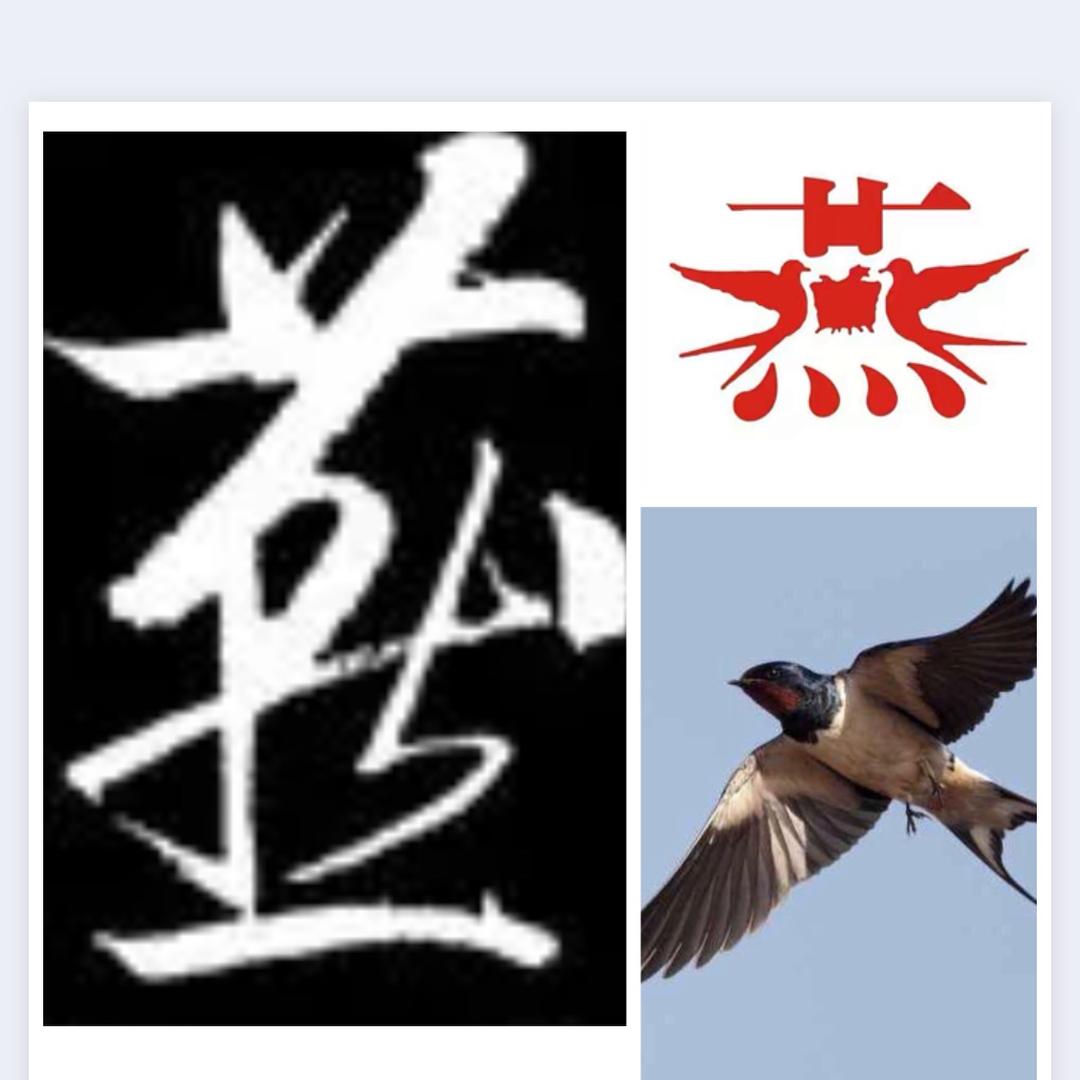 燕  翔