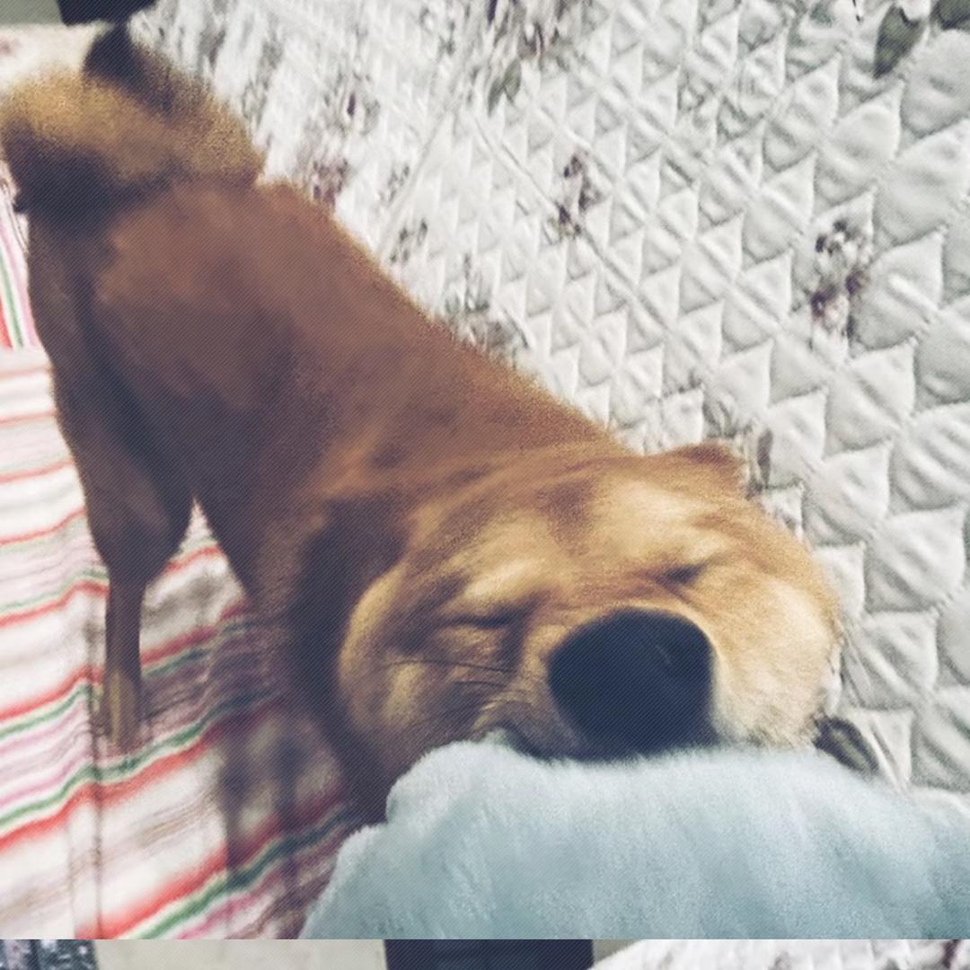 小宇