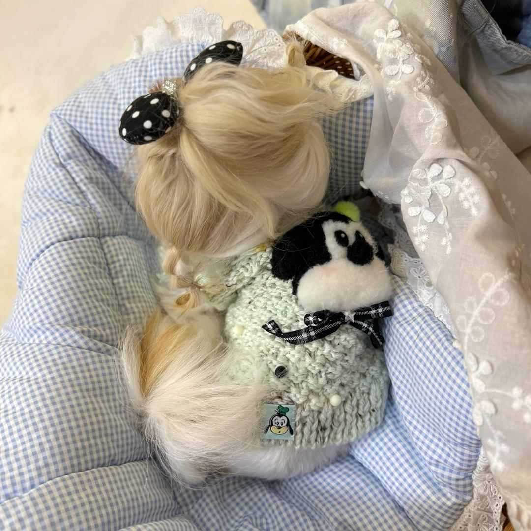 兜兜来了嘛