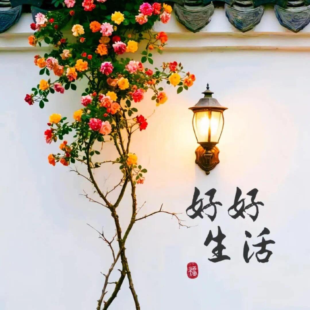 冷言冷语冷温柔