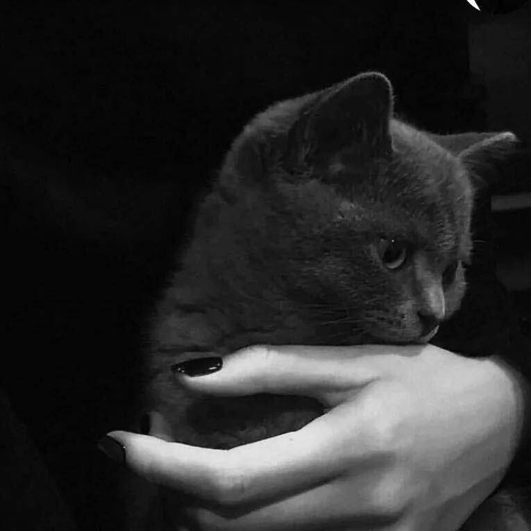 დ᭄🐾酥酥熊酱 🐾꧔