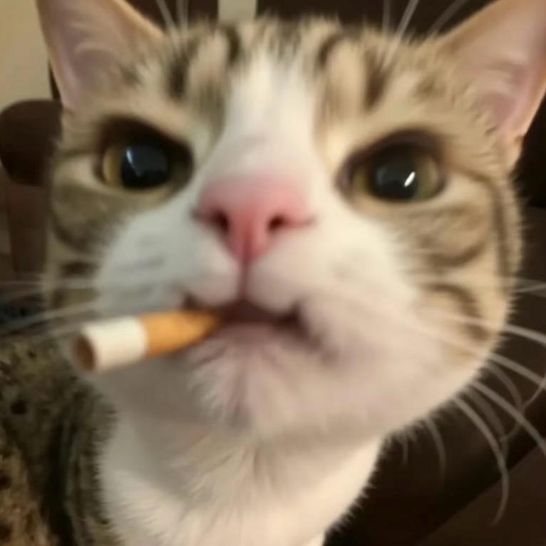 半点心
