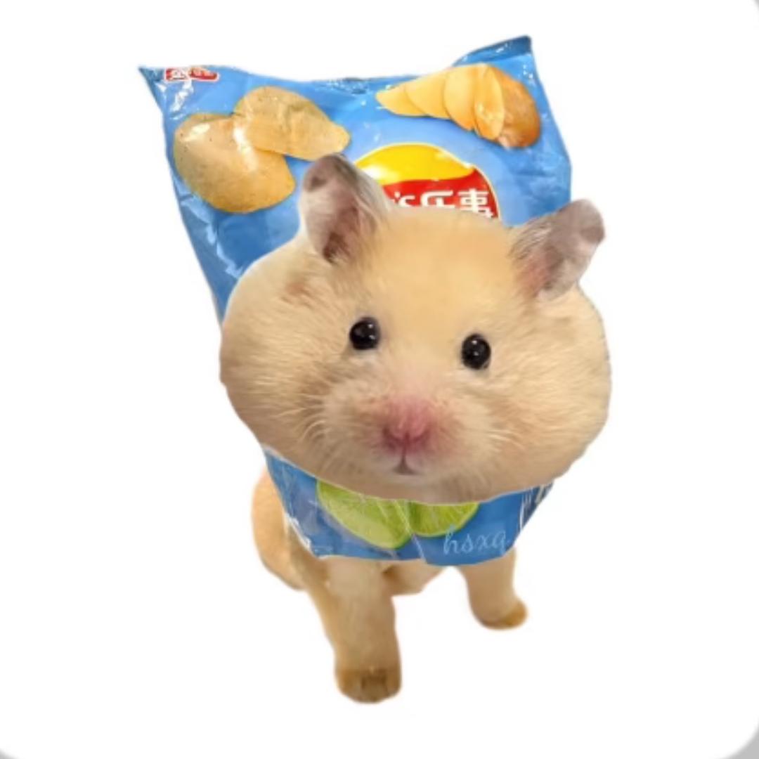 豪