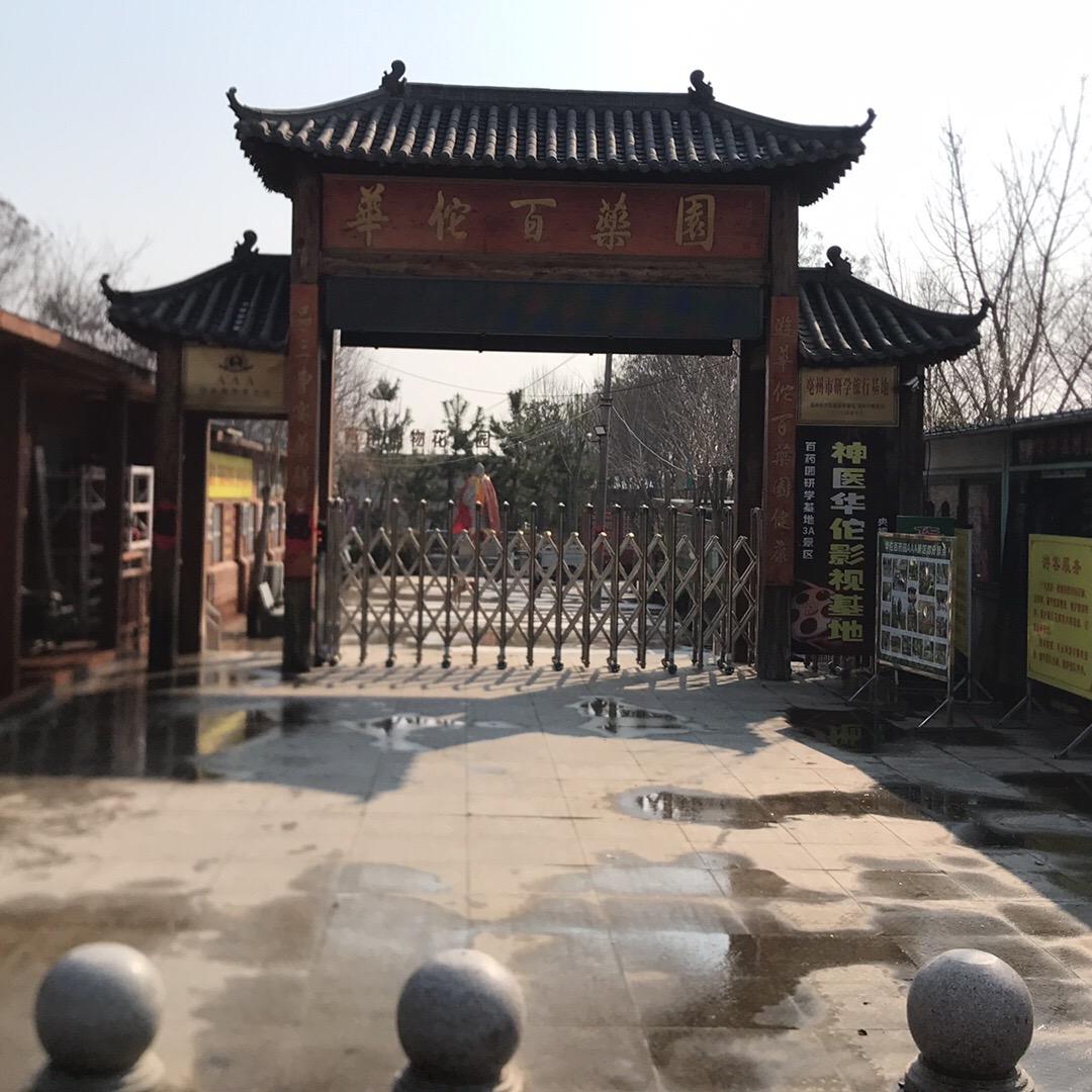 华佗百药园种植·张露