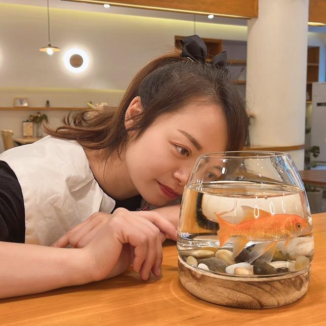 小晨子