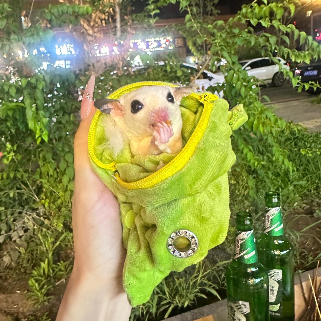 曾经以为