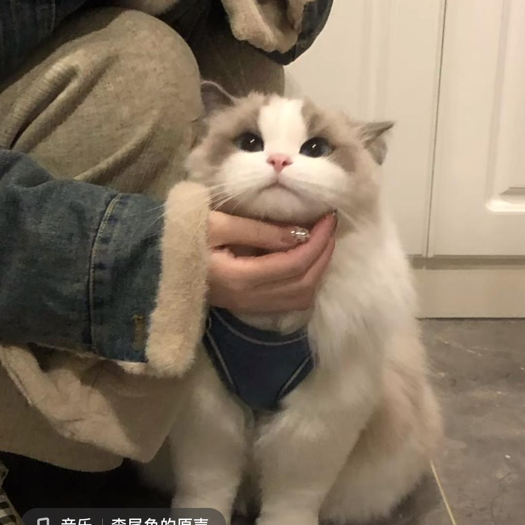 孙思梧-