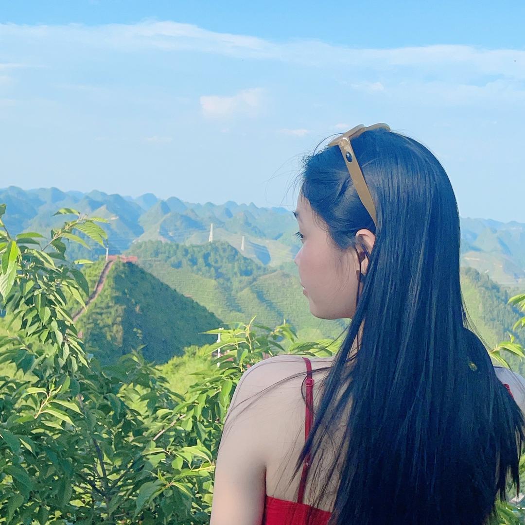 鑫鑫宝贝